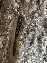 Load image into Gallery viewer, RAG & BONE Size 4 Grey Suede Jacket
